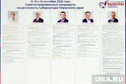 Как уроженец маленького северного поселка стал пермским губернатором: биография Дмитрия Махонина