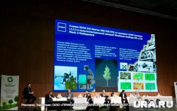 Лес в цифре и победа над западной техникой: ПЦБК делится уникальным опытом на &laquo;Российской Неделе Бумаги&raquo;