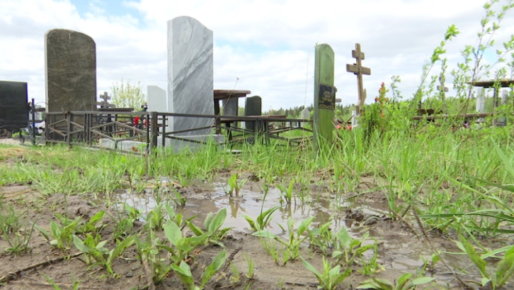 На уборку городских кладбищ власти Перми потратят более 300 млн руб.