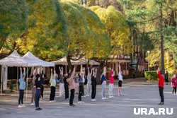 &laquo;Нам нужен кинотеатр под открытым небом&raquo;: совладелец парка Горького о споре с мэрией и лучших локациях Перми