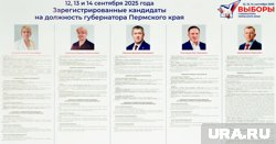 &laquo;Отличник народного просвещения&raquo;: что известно о кандидате в пермские губернаторы Караваевой