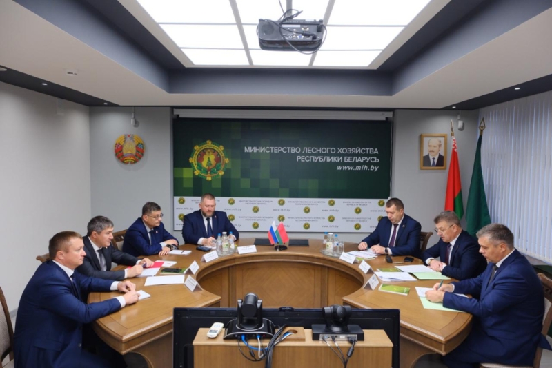 Пермский край и Беларусь намерены сотрудничать в сфере лесного хозяйства