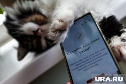 Пермскую оппозицию ждет борьба за статус второй партии