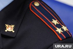 Полковник из Брянска стала новым главным следователем полиции Прикамья