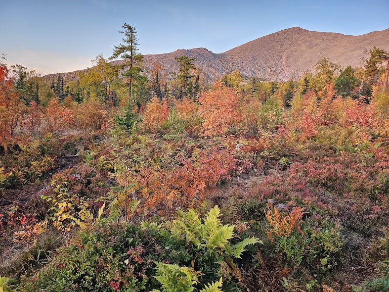 Прокуратура нашла нарушения в Вишерском заповеднике