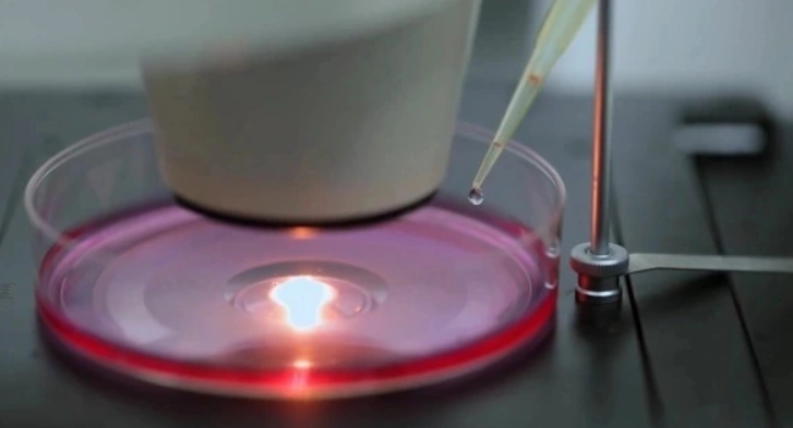 С начала сезона от клещей в Прикамье пострадали почти 28 тыс. человек