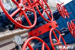 Топ-5 пермских предприятий с многомиллиардной выручкой