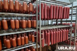 Топ-5 пищевых гигантов Пермского края с многомиллиардным доходом