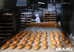 Топ-5 пищевых гигантов Пермского края с многомиллиардным доходом