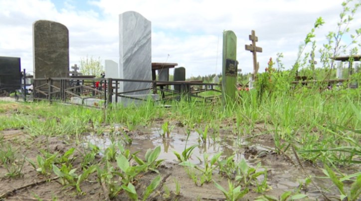 В Березниках начнется строительство нового кладбища за 214 млн руб.