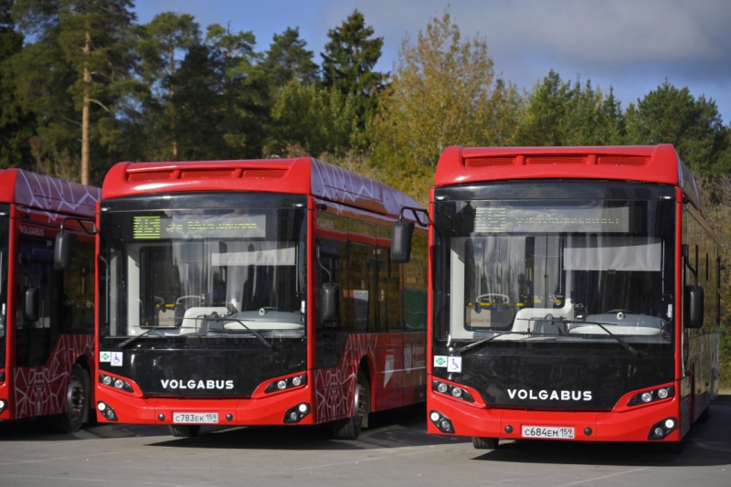 В Пермь доставили 30 новых автобусов