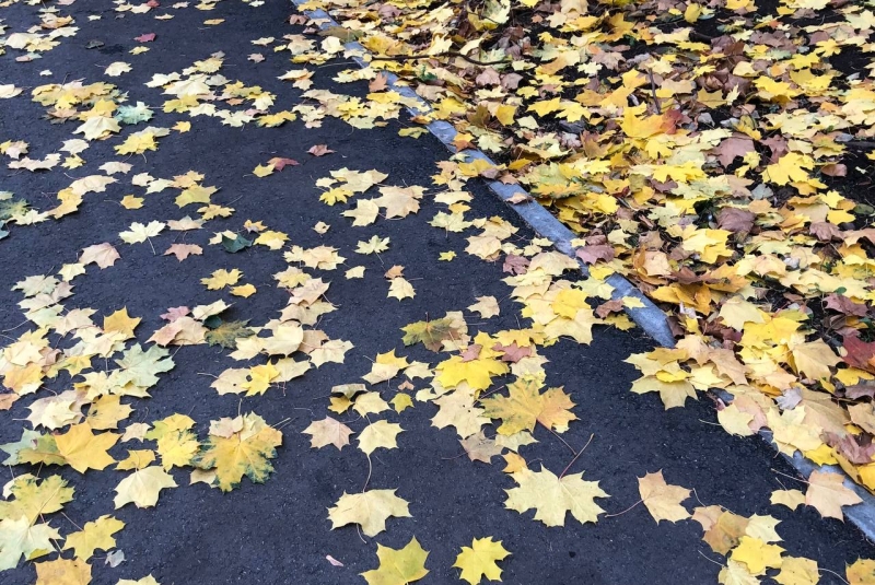 В Пермском крае начался длительный период похолодания