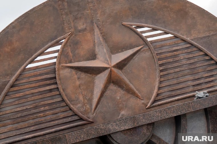 Визит федерального министра, подарок от Мизулиной и медведь в городе: топ-10 новостей Пермского края