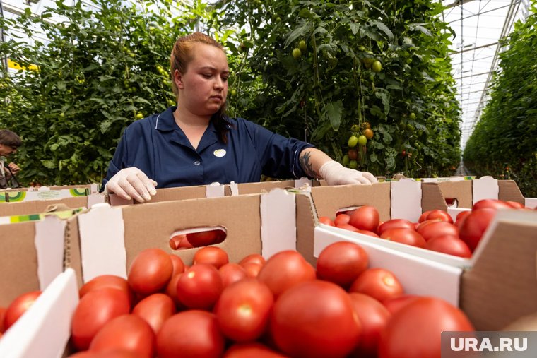 Засуха и ключевая ставка перепишут цены на продукты