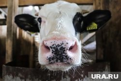 Засуха и ключевая ставка перепишут цены на продукты