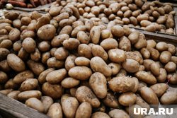 Засуха и ключевая ставка перепишут цены на продукты