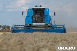 Засуха и ключевая ставка перепишут цены на продукты