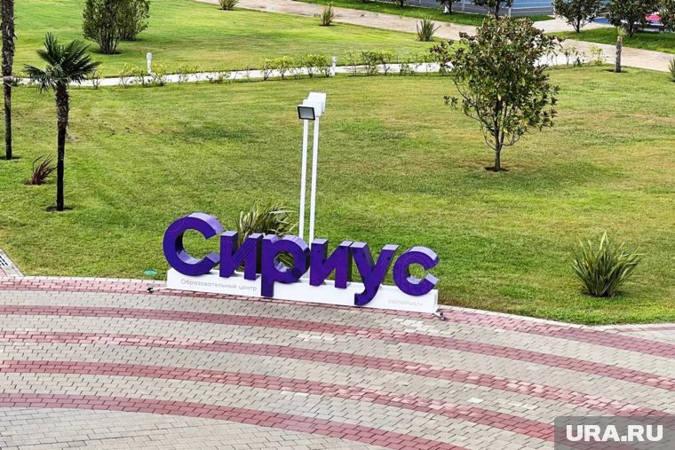 &laquo;Большая проблема &mdash; тренеры&raquo;: президент пермской спортивной федерации о детях, ценах и забеге на трамплин