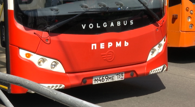 До конца года в Перми на линию выйдут 59 новых автобусов