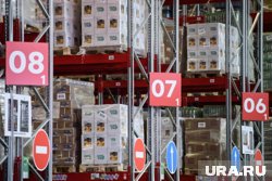 Как ритейл и e-commerce страхуются от убытков на сотни миллиардов