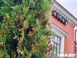 &laquo;Посикунчик за 78 000 &mdash; не просто пирожок&raquo;: владелец культового кафе о гастрохитах у туристов и пермской кухне