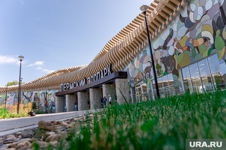 &laquo;Тропический рай и страна обезьян&raquo;: что посмотреть в новом Пермском зоопарке