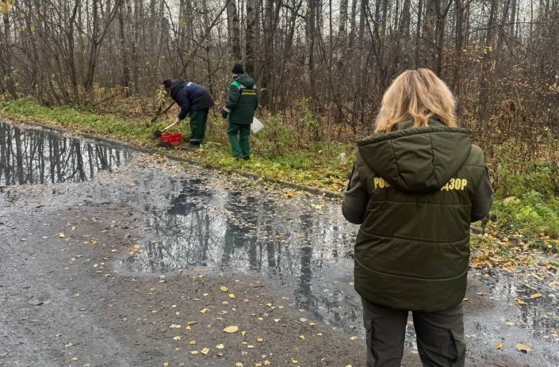 В Краснокамске произошёл разлив нефтепродуктов