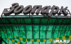 В Перми начинается реновация территории старого зоопарка