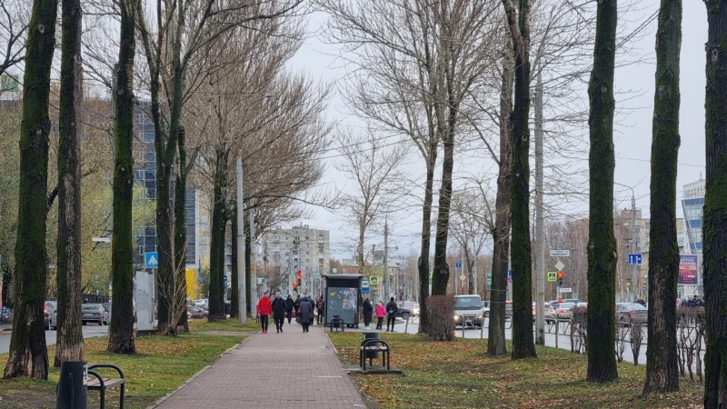 В Пермском крае на одного безработного приходится 10 вакансий