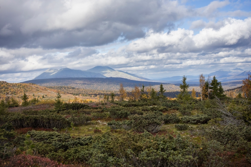 В Пермском крае появятся 69 новых памятников природы