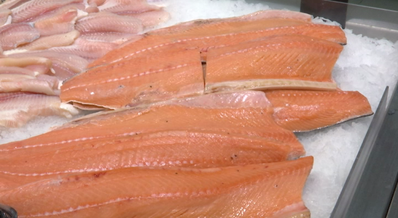 После гибели форели в Пермском крае ликвидируется рыбоводное предприятие